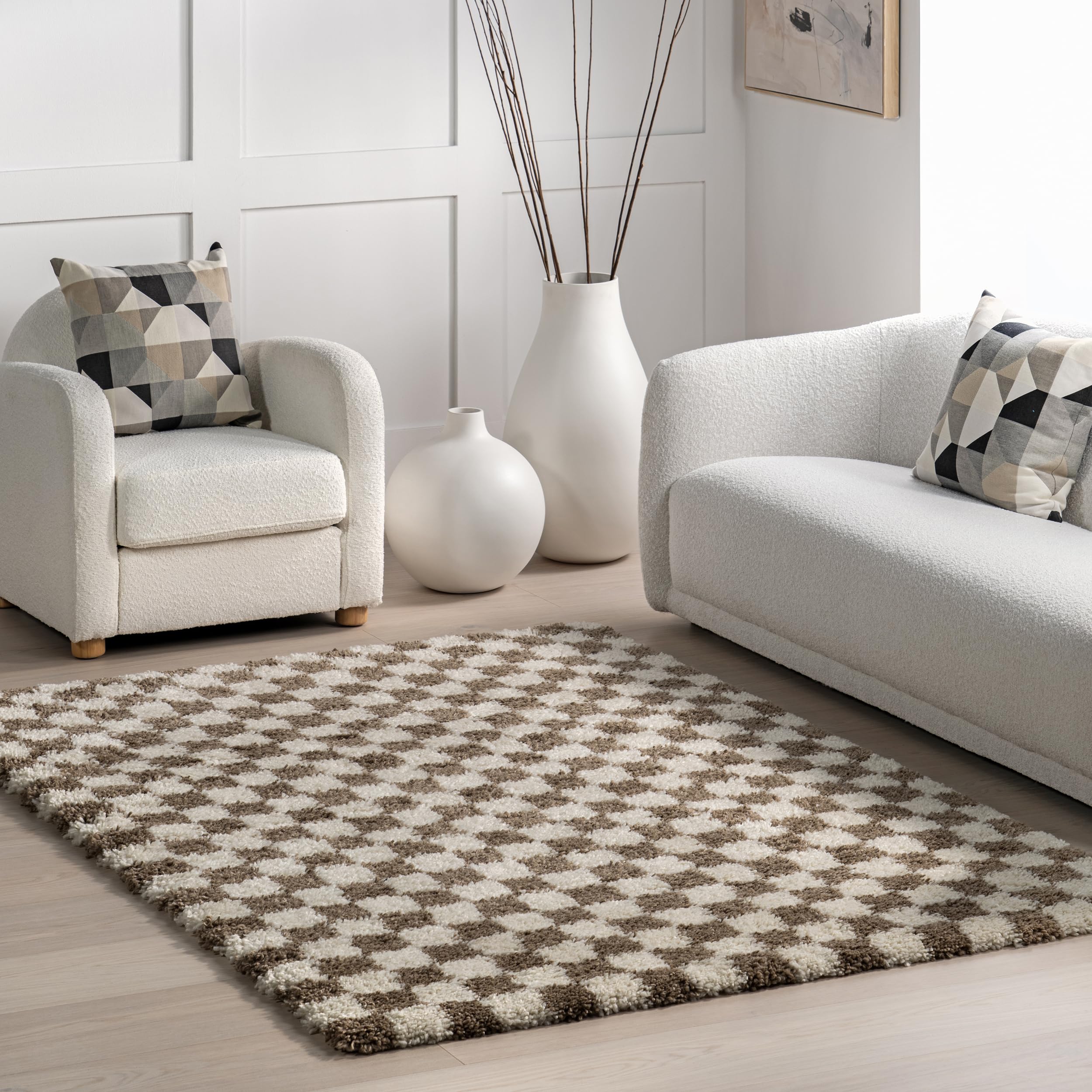 7 Best Shag Rugs