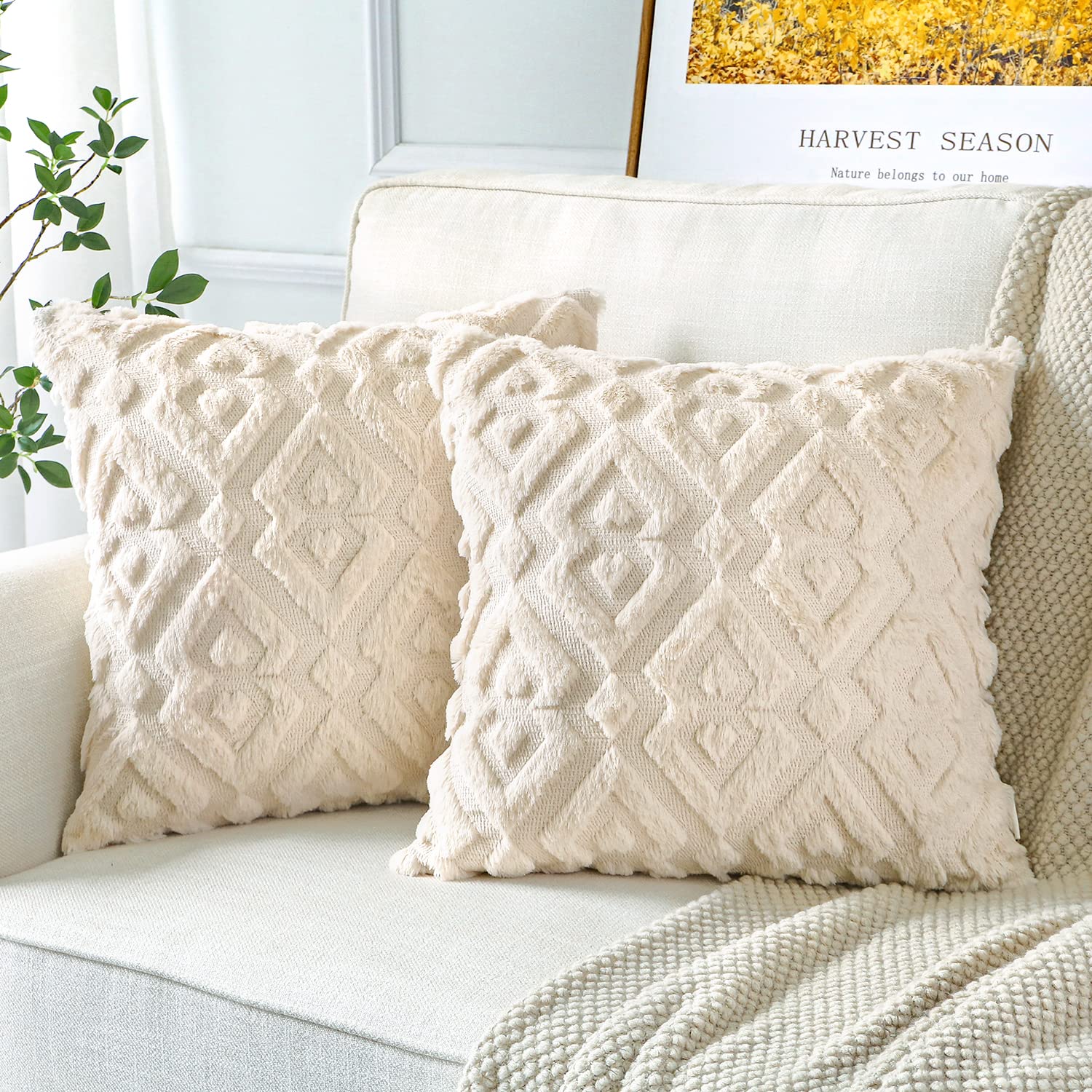 8 Best Cream Cushions