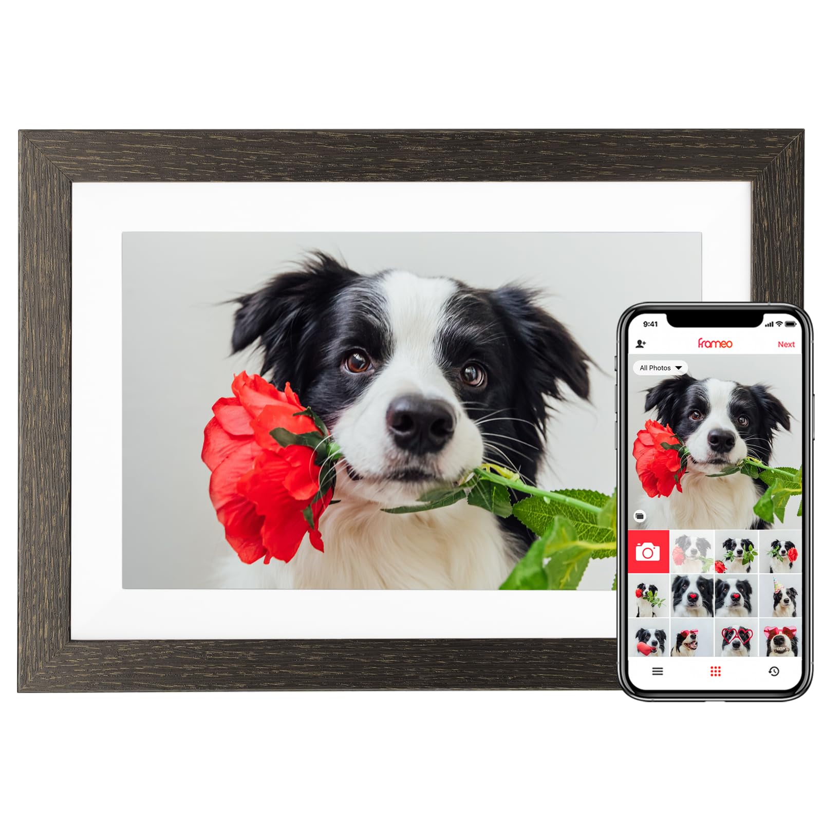 8 Best Digital Picture Frames