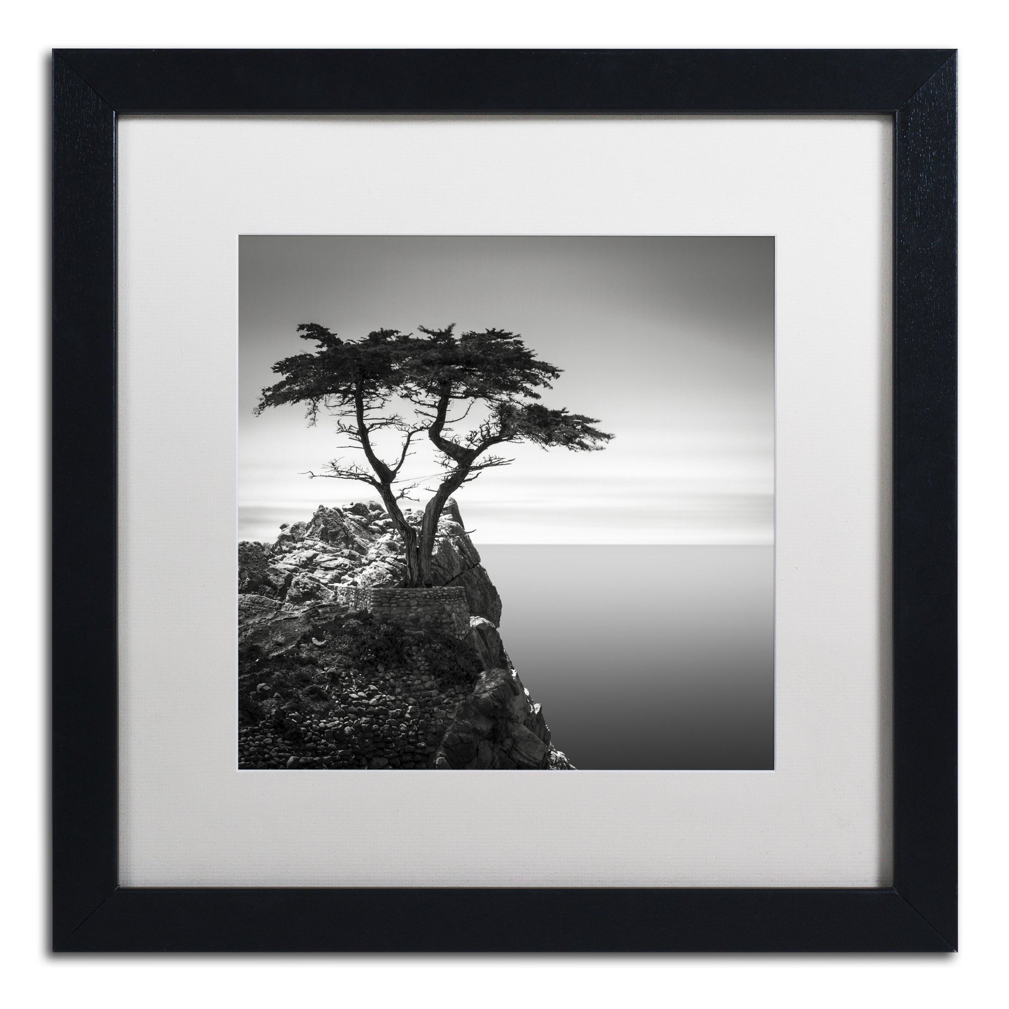 8 Best Photography Wall Art