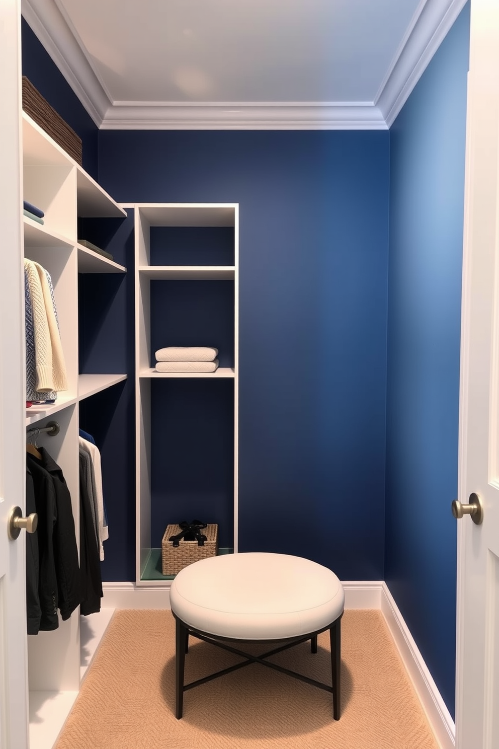 Closet Wall Painting Ideas 13