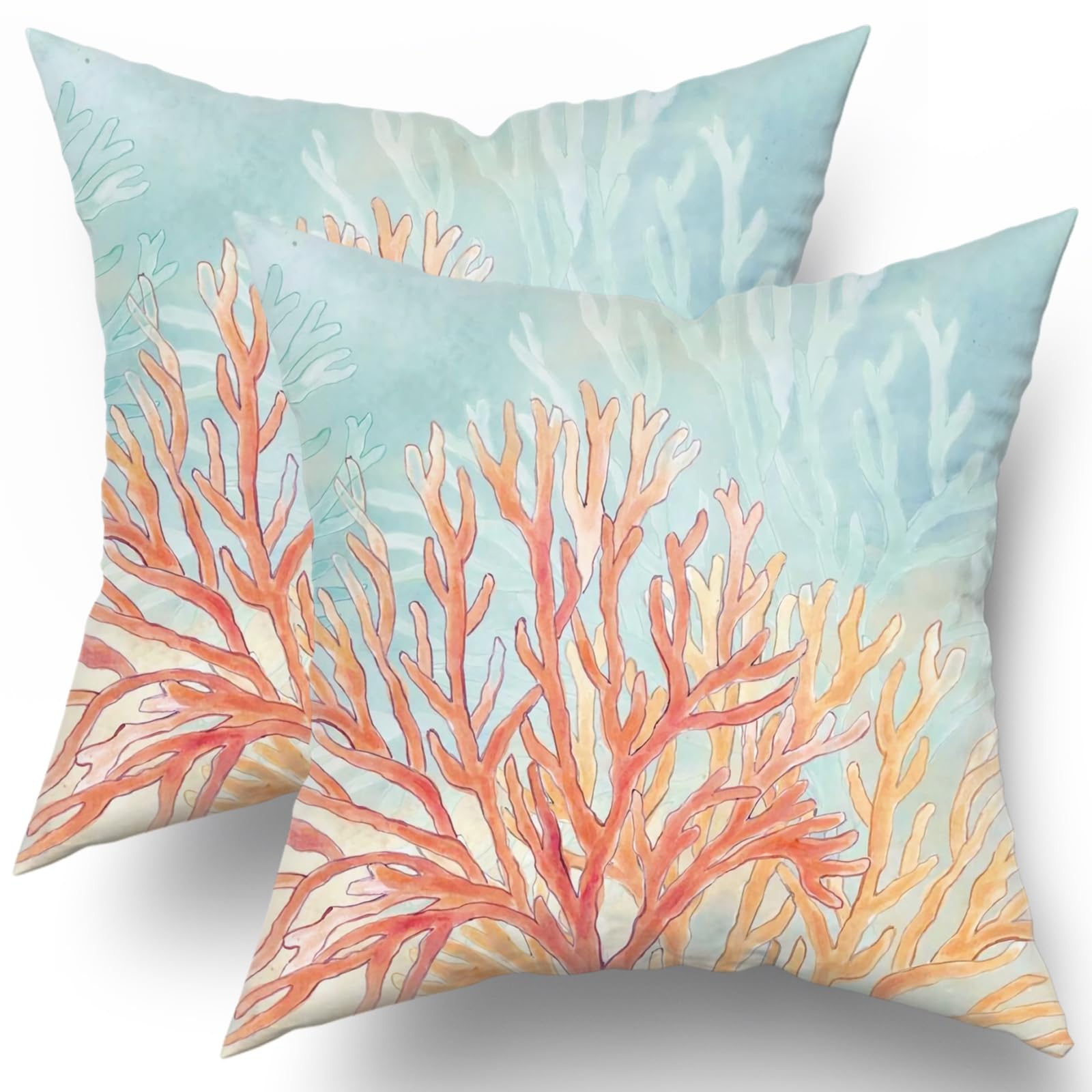 Best Coral Cushions