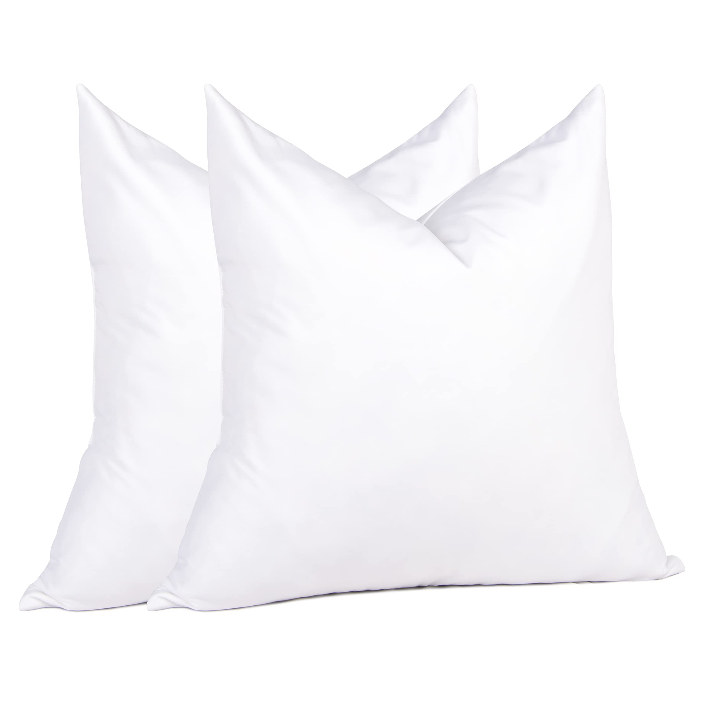 Best Down Cushions