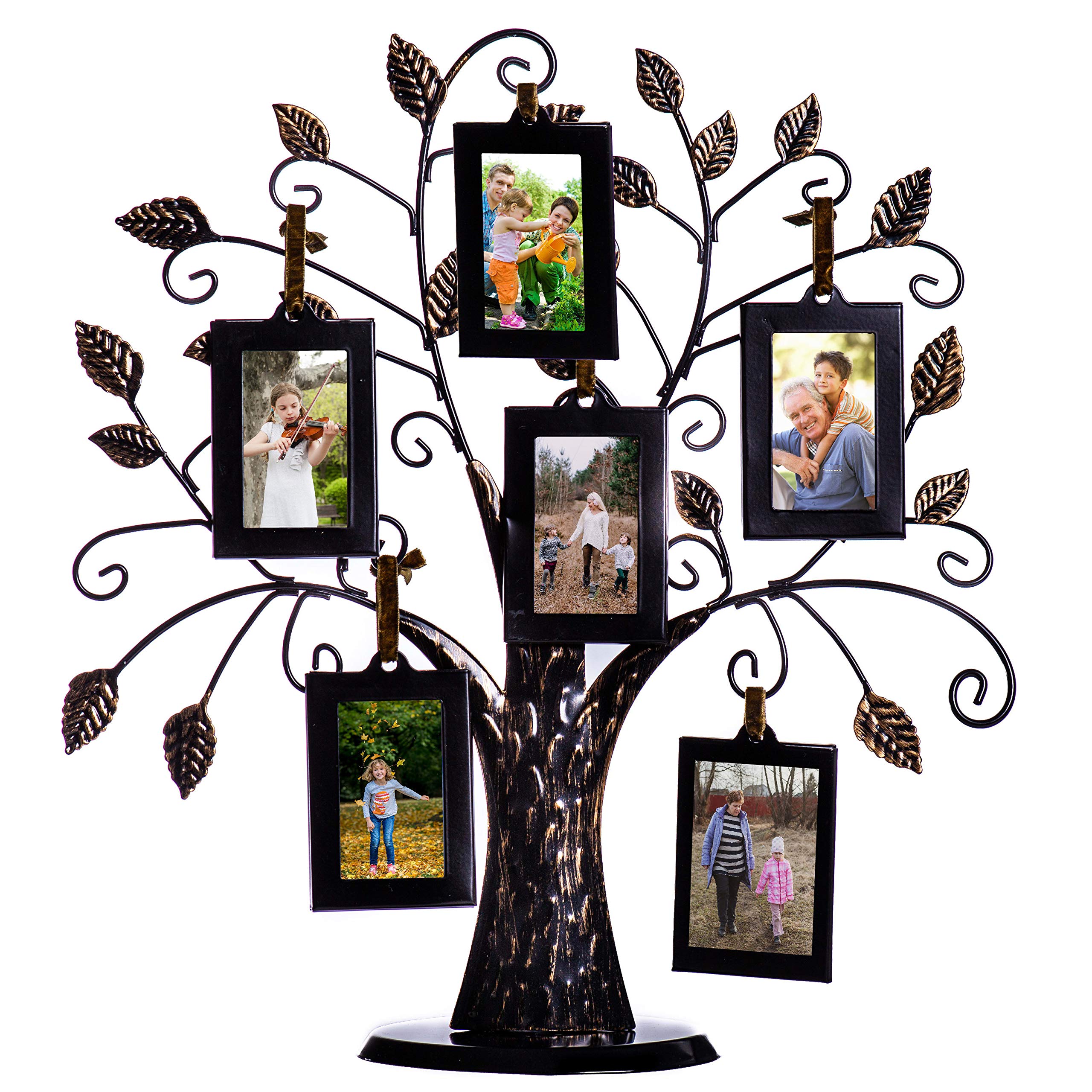 Best Family Tree Picture Frames