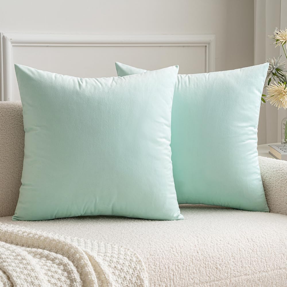 Best Mint Green Cushions