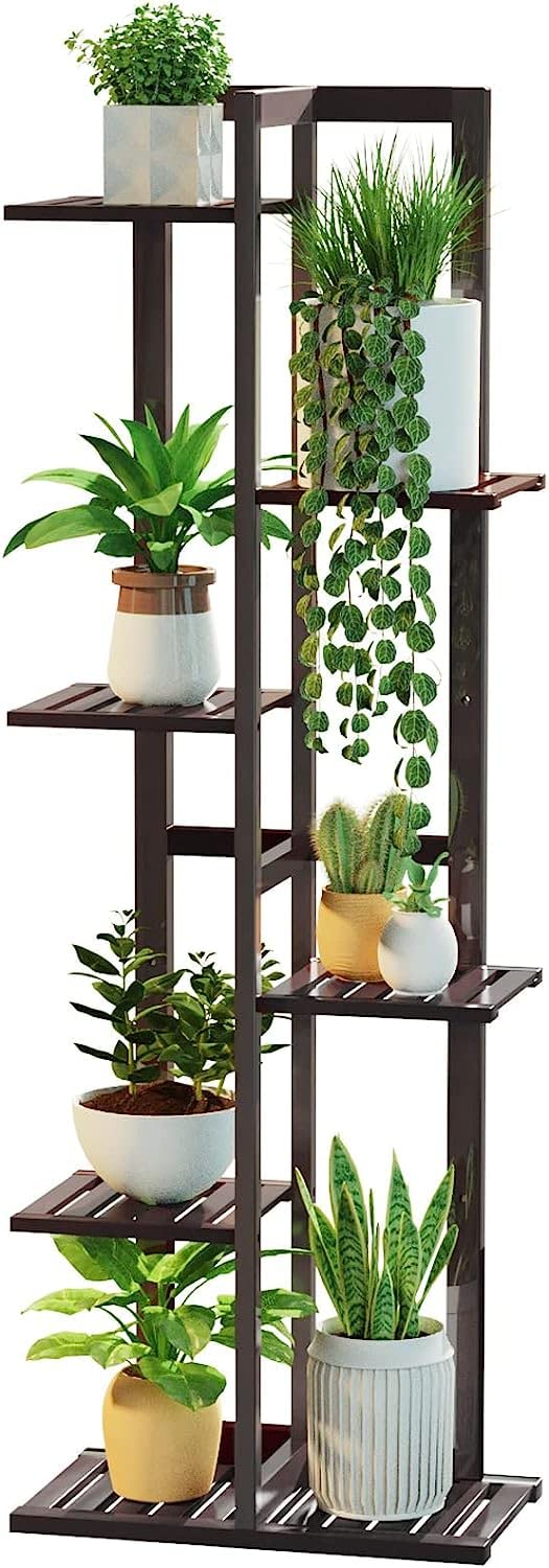 Best Plant Shelves