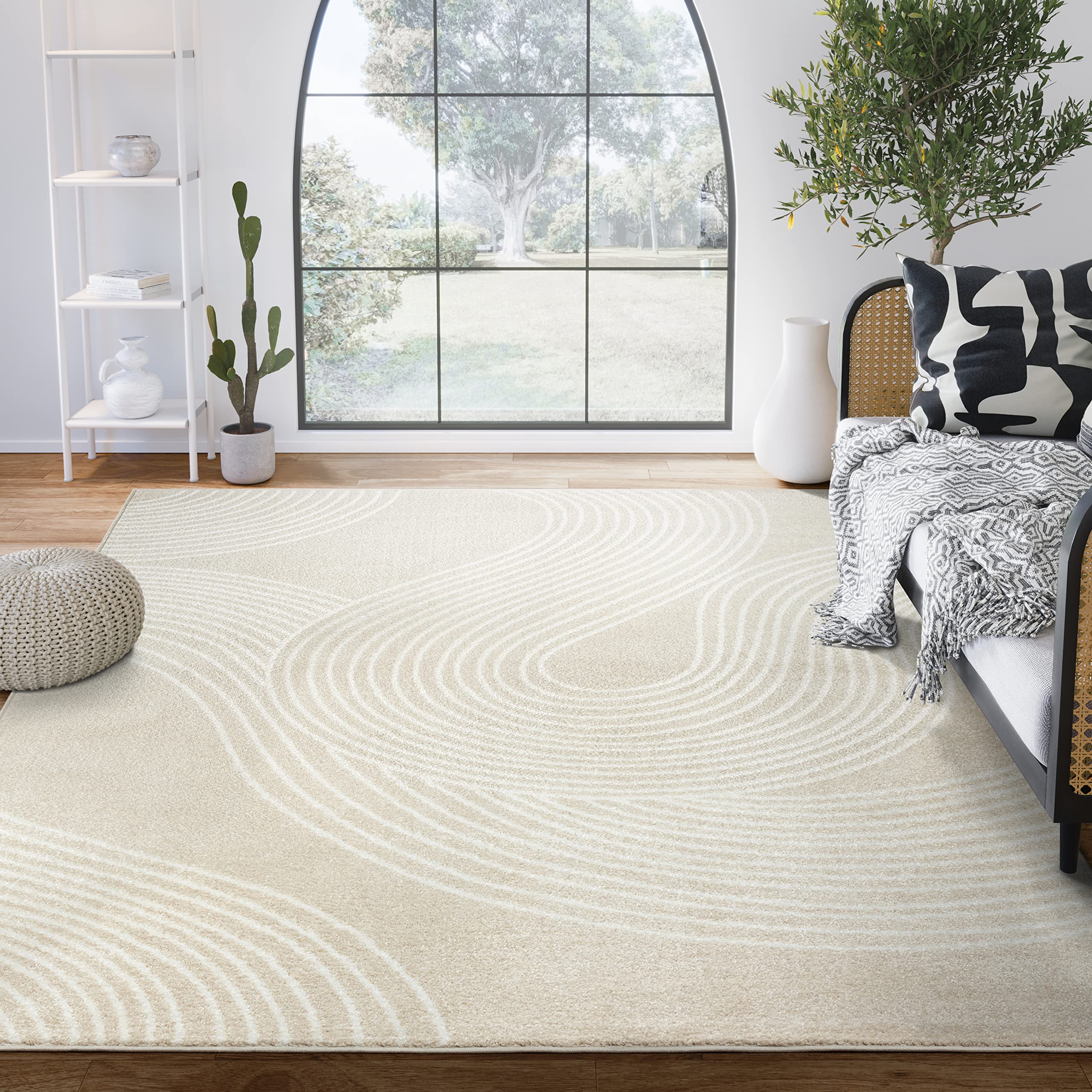 Best Transitional Rugs